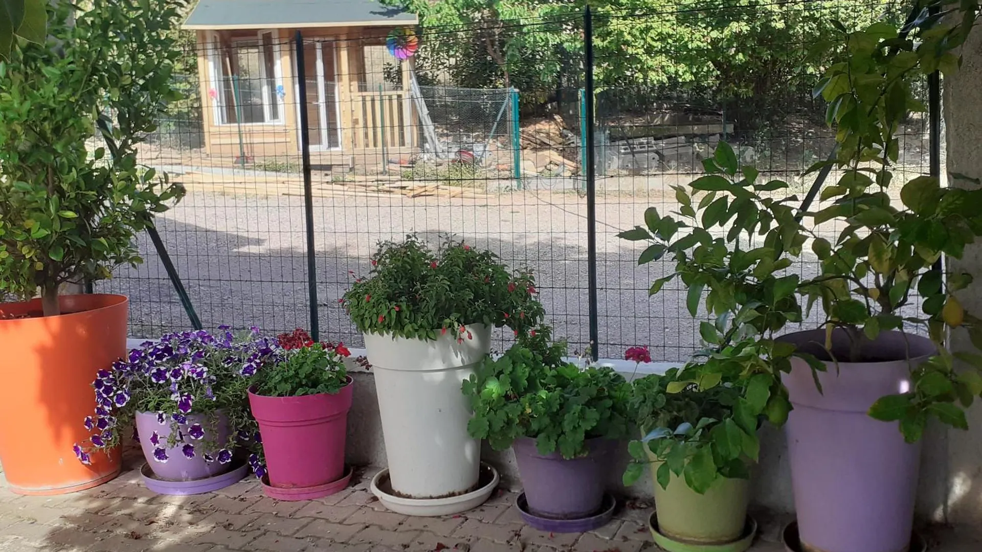 Bed & Breakfast Chambres D Hotes Au P'Tit Bonheur Campagnard Jarnosse France