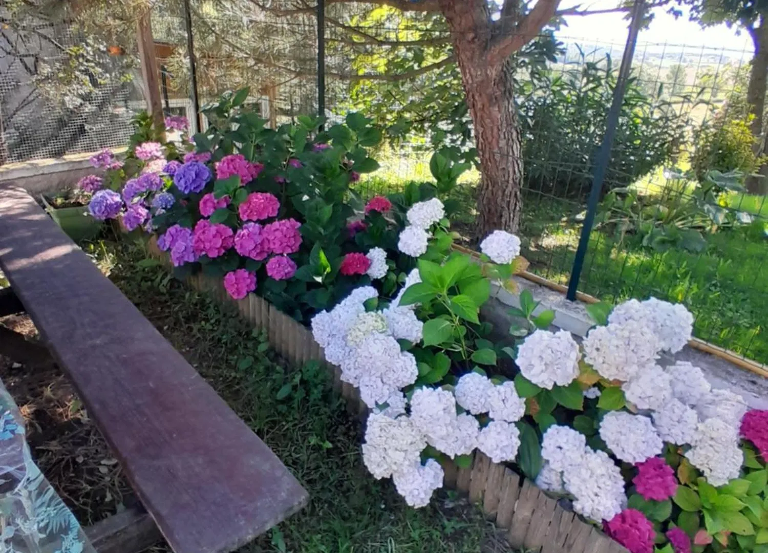 Bed & Breakfast Chambres D Hotes Au P'Tit Bonheur Campagnard Jarnosse France