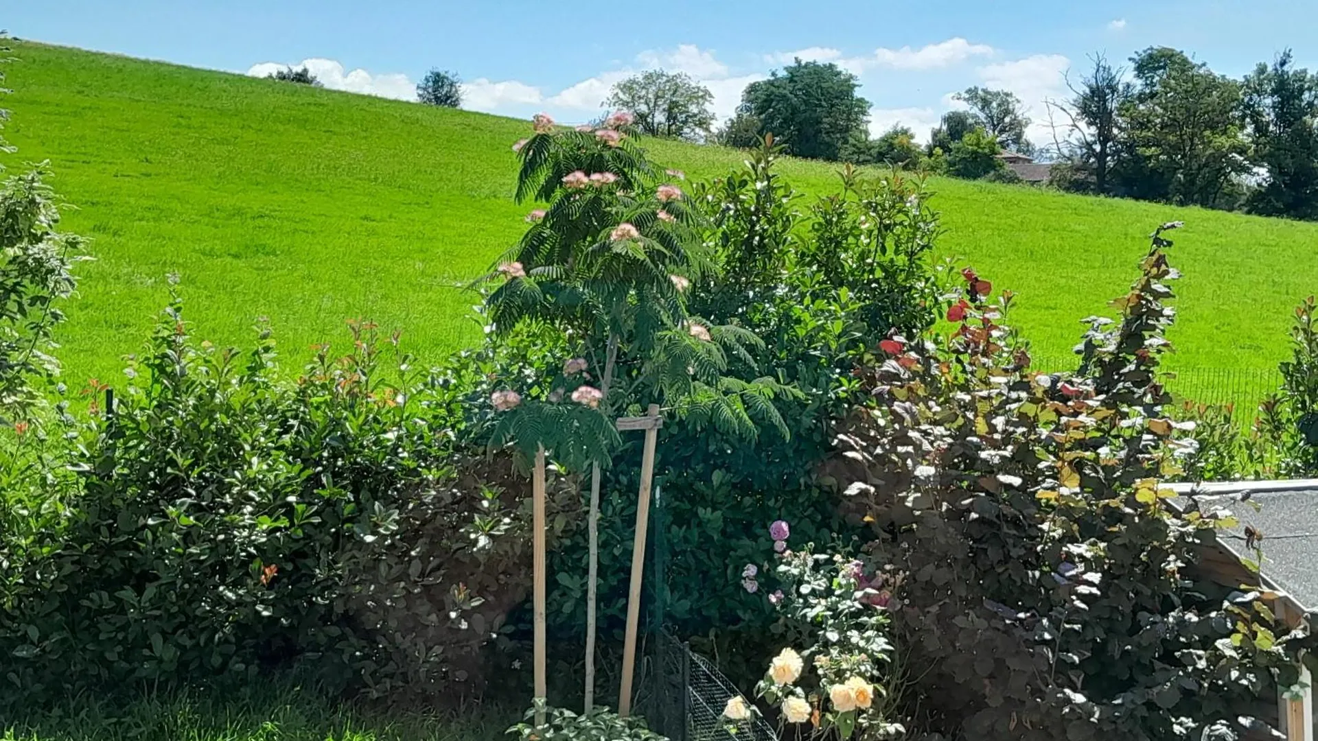 Bed & Breakfast Chambres D Hotes Au P'Tit Bonheur Campagnard Jarnosse